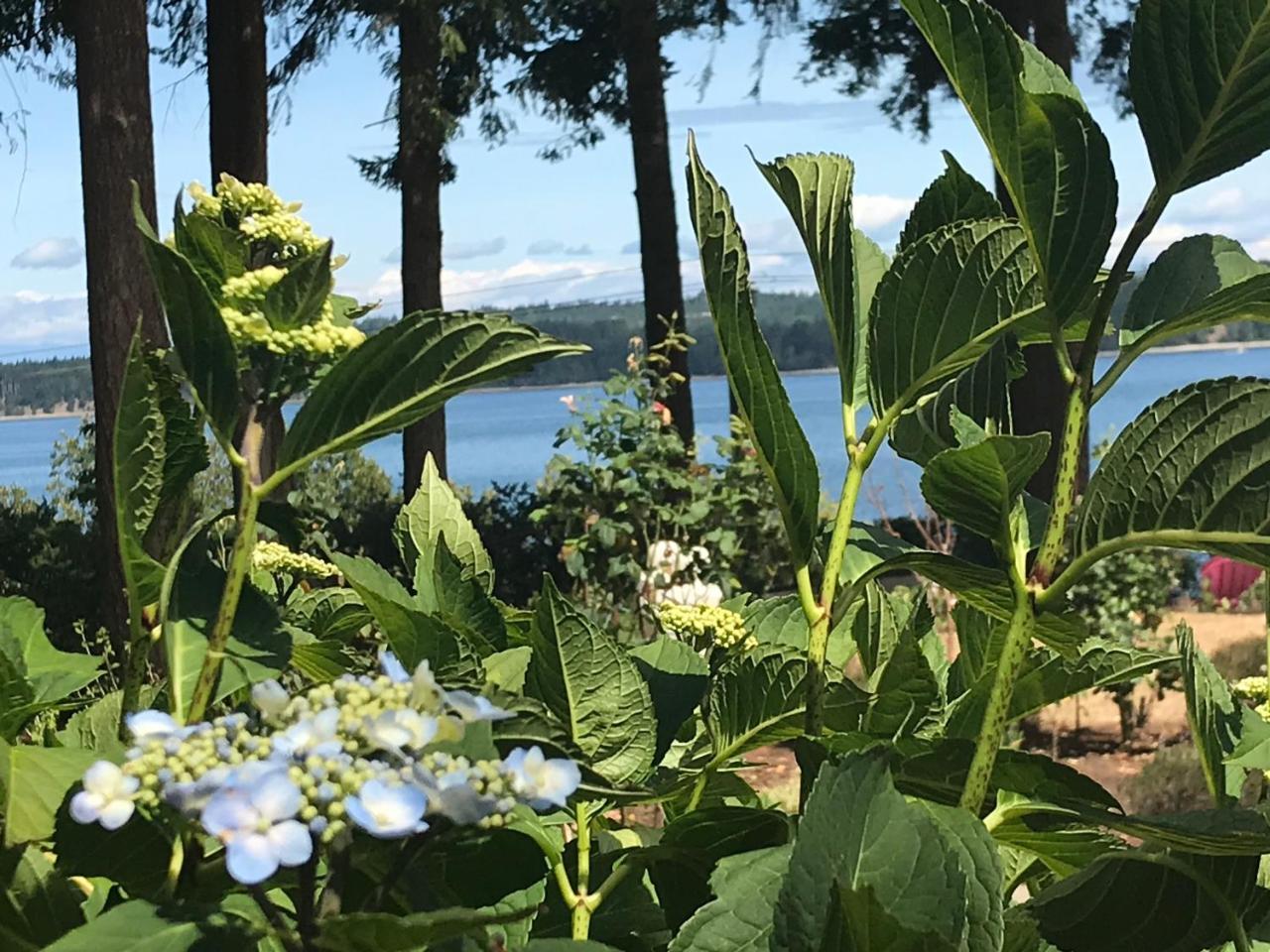 Union Bay Log Home 外观 照片
